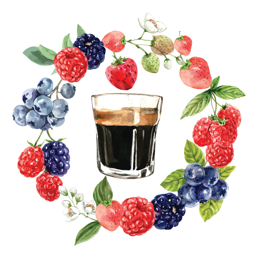 Curso de cata de café, curso de barismo, curo virtual de café, curso barista, curso de café,